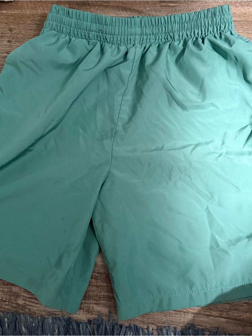 Nike Men's Mint Green Athletic Shorts